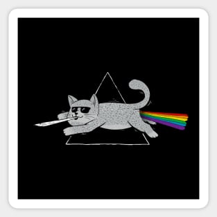 The Dark Side of Cats Sticker